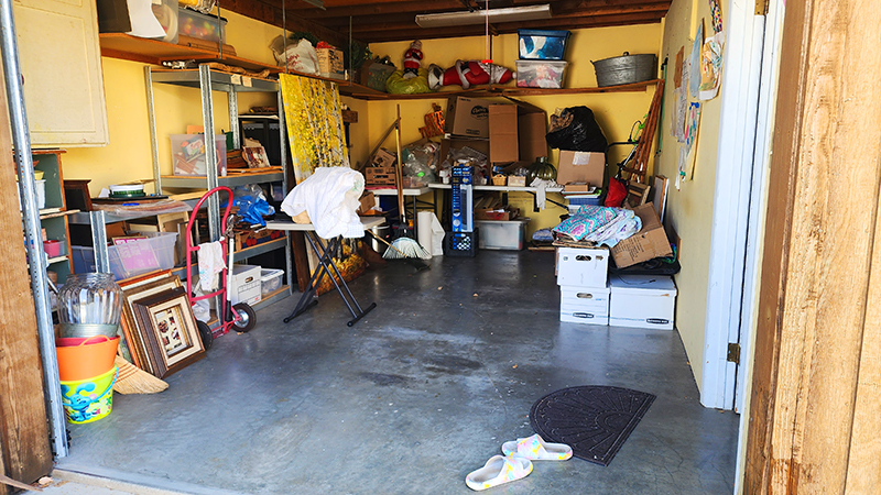 Cleaing and Sorting